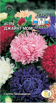 Седек Астра Джайнт Мом (пионовидная, смесь) (Евро, 0,2)