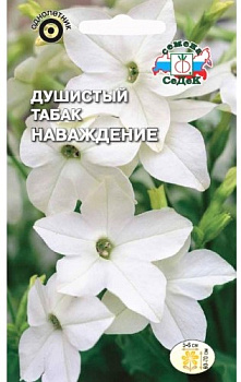 Седек Душистый Табак Наваждение белый (Евро, 0,1)