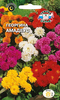Седек Георгина Амадеус (смесь) (Евро 0,15)