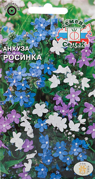 Седек Анхуза Росинка (капская карликовая) (Евро, 0,1)