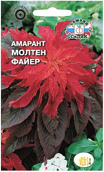 Седек Амарант Молтен файер (двуцветный) (Евро, 0,25)