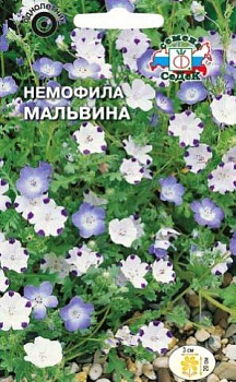 Седек Немофила Мальвина (смесь цветов) (Евро, 0,05)