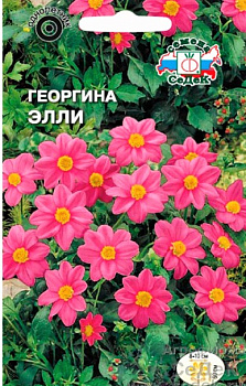 Седек Георгина Элли (розовая) (Евро, 0,2)