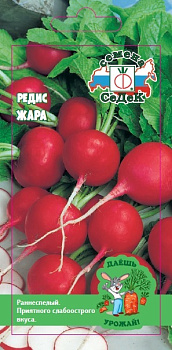 Седек редис Заря (Евро, 3)