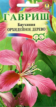 Баухиния Орхидейное дерево *3шт Гавриш