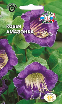 Седек Кобея Амазонка (лазающая, фиолетовая) (Евро, 0,5)
