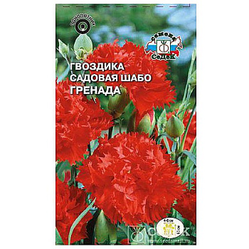 Седек Гвоздика Гренада (Шабо, т.-оранж-красная) (Евро 0,1)