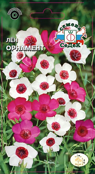 Седек Лён Орнамент (крупноцветковый, смесь цветов) (Евро, 0,2)