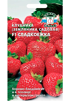 Седек Земляника Сладкоежка F1 (крупноплодная ремонтант.) (Евро, 15)