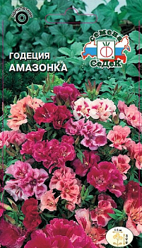 Седек Годеция Амазонка (крупноцветковая, азалиевидная смесь) (Евро, 0,15)