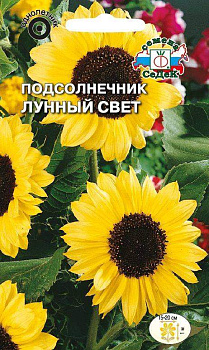 Седек Подсолнечник Лунный свет (лимонно-желтый) (Евро, 1)