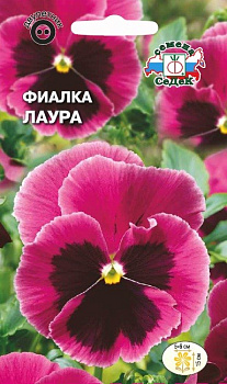 Седек Фиалка Лаура (Витрокка, лилов-роз с черн пятн) (Евро 0,05)