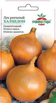 Седек лук Халцедон (репч.) (Евро, 0,5)