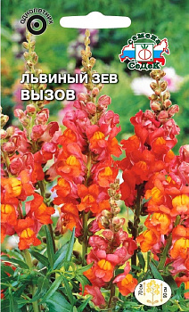 Седек Львиный зев Вызов (высокий, красно-оранжевый) (Евро, 0,1)