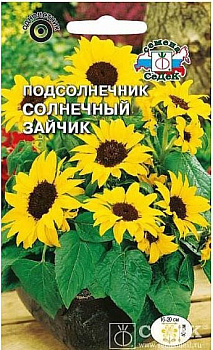 Седек Подсолнечник Солнечный зайчик (низкорослый, крупноцветковый) (Евро, 1)