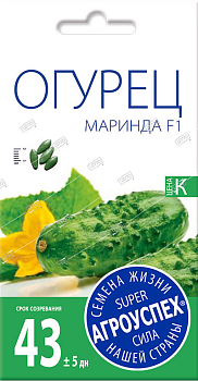 Л/огурец Маринда F1 ранний *7 шт (Голландия)